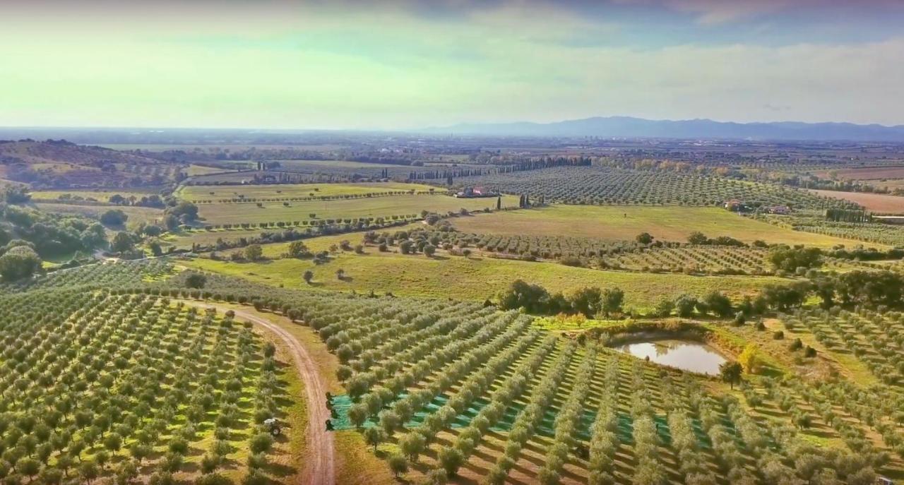 Agriturismo La Fonte Grosseto Dış mekan fotoğraf